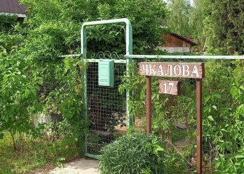 Питомник растения, садовый центр в Кстово